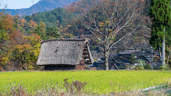 Shirakawa-go-10
