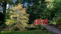 Batsford-12