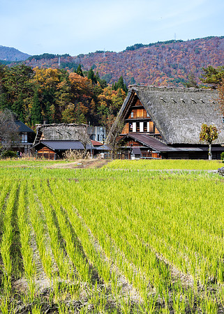 Shirakawa-go-29