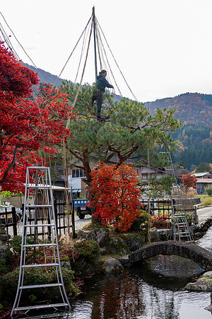Shirakawa-go-42