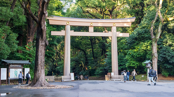 Meiji Shrine -1