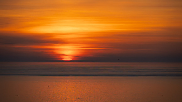 Bempton-88