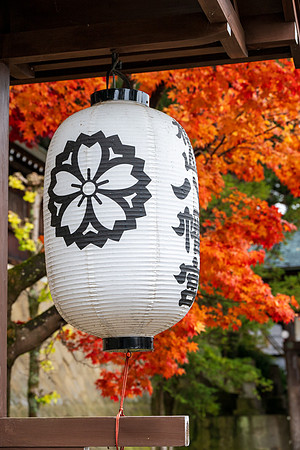 Takayama-68