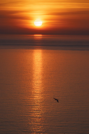 Bempton-91