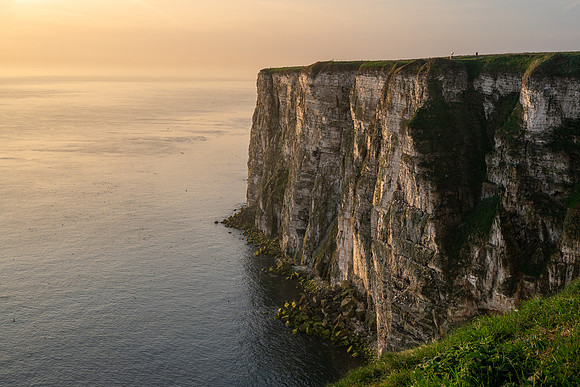 Bempton-161