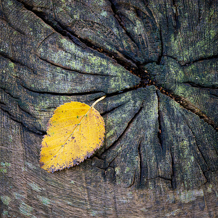 Batsford-21