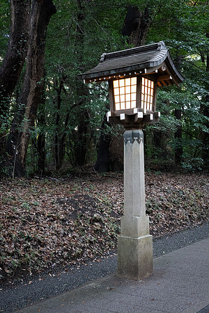 Meiji Shrine -9