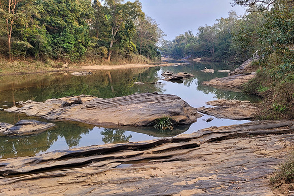 Jungle River