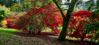 Batsford-14