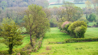 Stowe-18