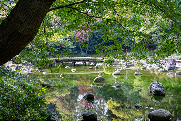 Koishikawa Korakuen Gardens  -9