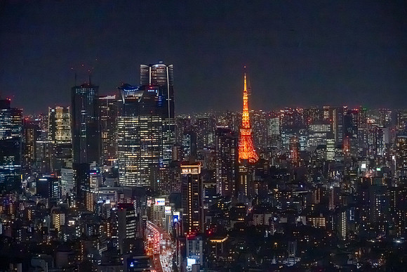 View from Shibuya Sky Tower -4