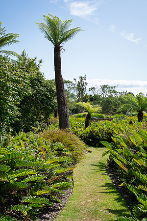 Logan Botanic Garden -10