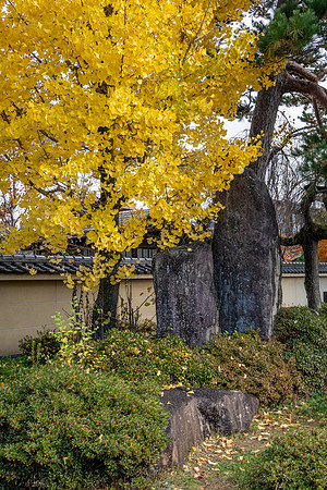 Takayama-13
