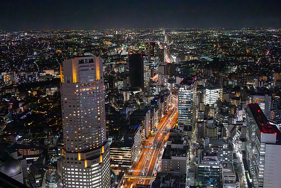 View from Shibuya Sky Tower -3