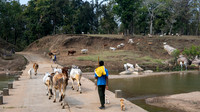 Rural Farming Village -12