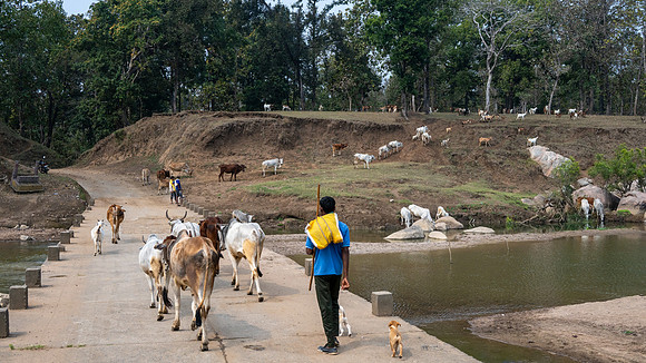 Rural Farming Village -12