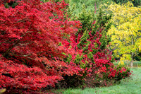 Batsford-4