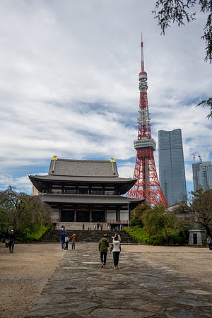 Zojoji Temple -2