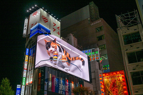 Shinjuku 3D Advert -2
