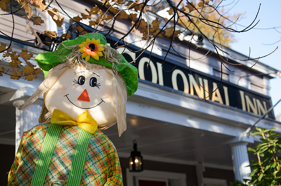 Colonial Inn Figure - 2