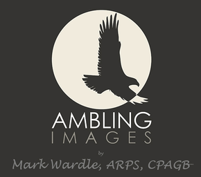 Mark Wardle, Ambling Images